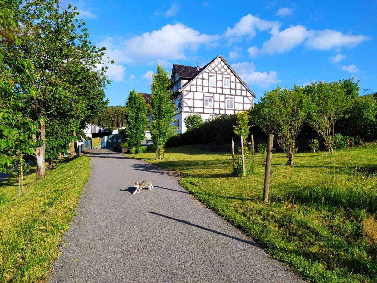 Kleine Auszeit * Eslohe