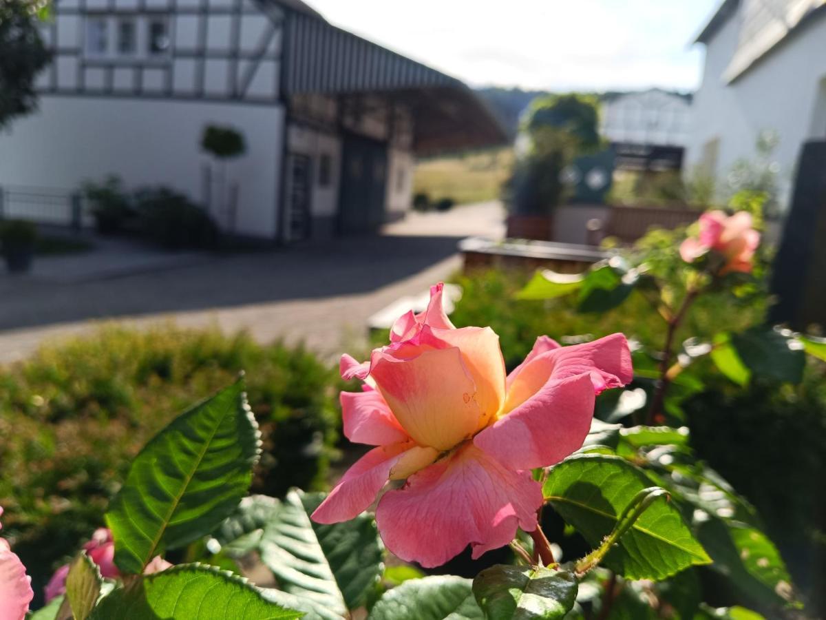 Kleine Auszeit Apartment